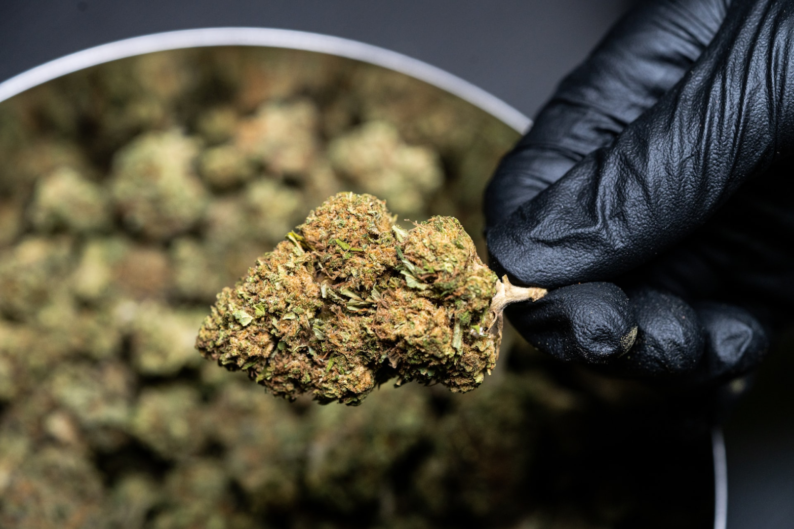 Get Quality Products from a Trusted Canadian Online Dispensary