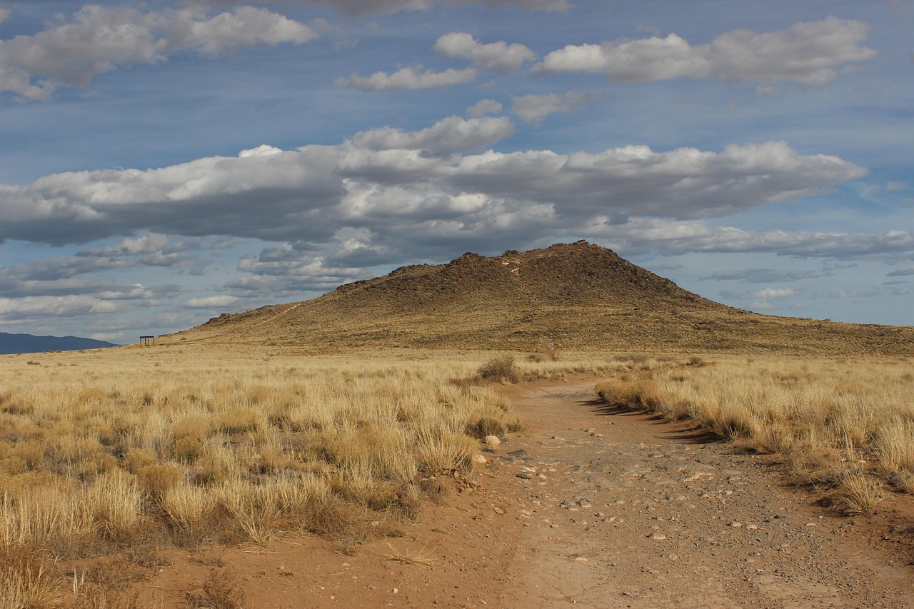 Extinct volcano, new mexico, albuquerque volcano park — Which Data Gathering Activity Would Be Useful For A Biomechanical Ana