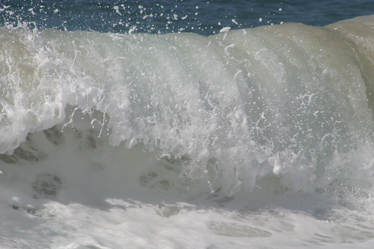 Wave, breaking, nature — Which Of The Following Best Describes Resource Partitioning