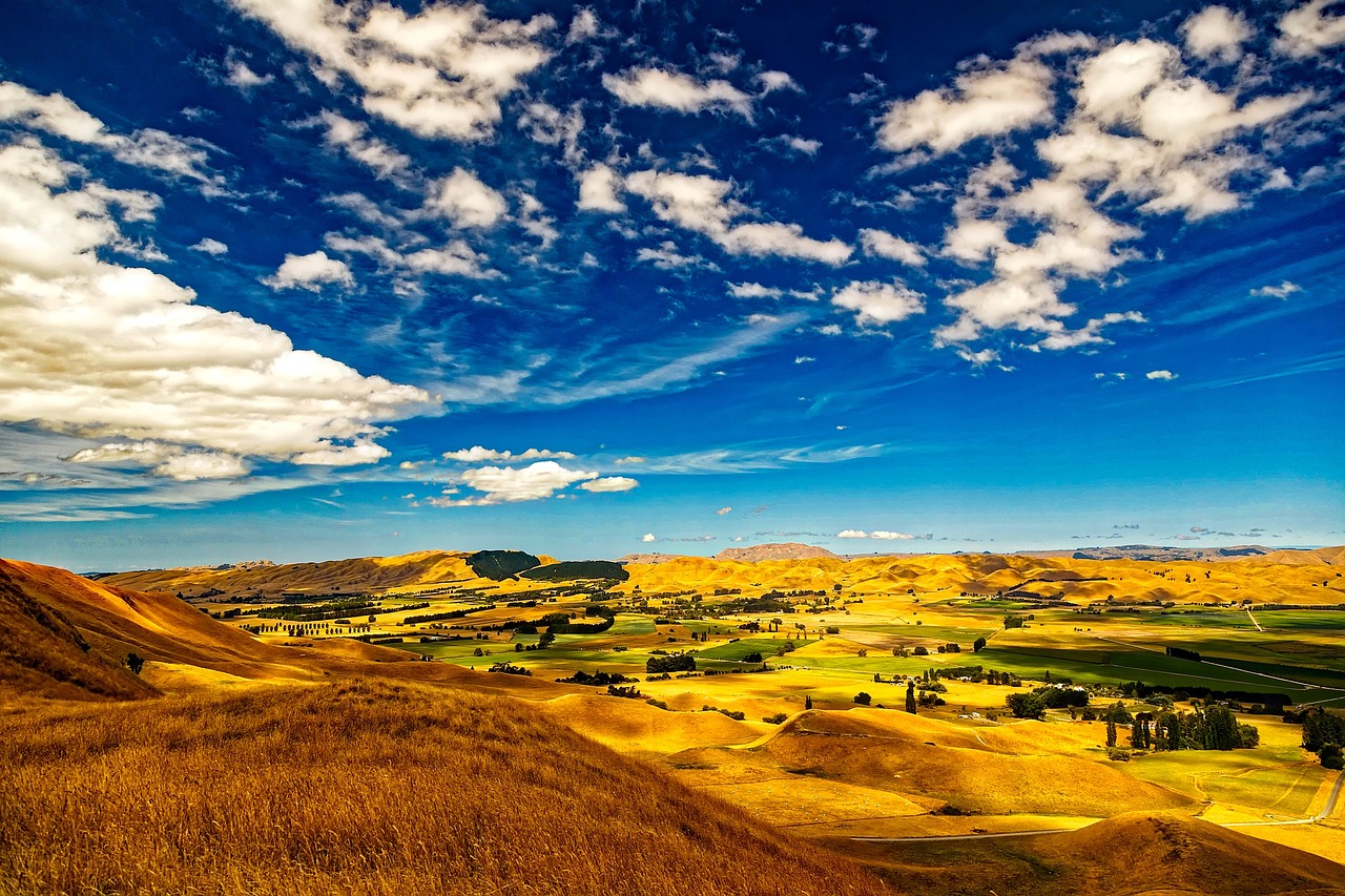 New zealand, sky, clouds — Which Of The Following Factors Would Not Contribute To Allopatric Speciation?