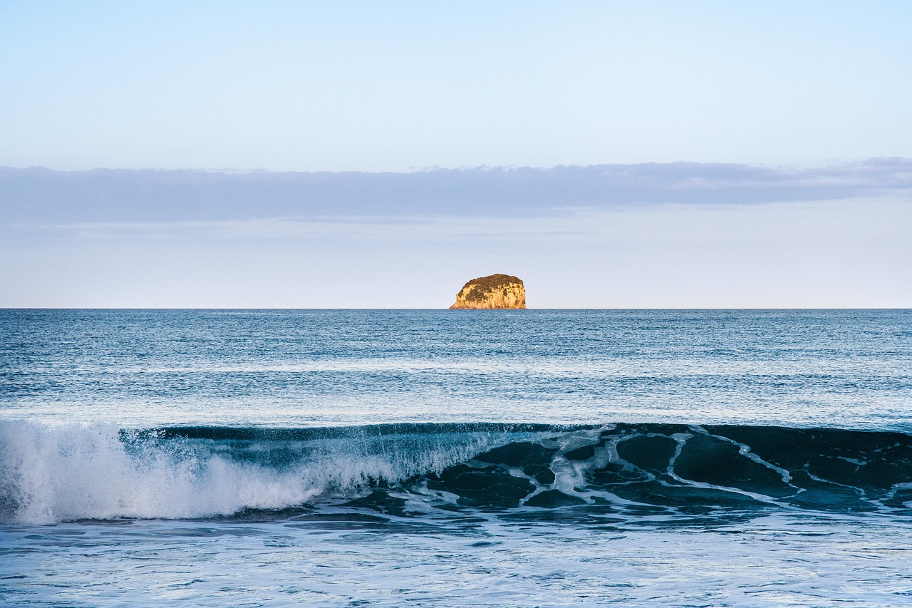 Island, waves, sunset — Which Of The Following Statements About Bacterial Flagella Is True?