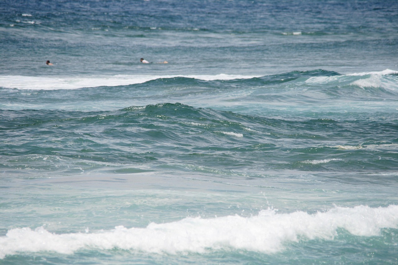 Waves, tide, nature — Which Of The Following Statements Is True Of The Sarbanes-oxley Act?