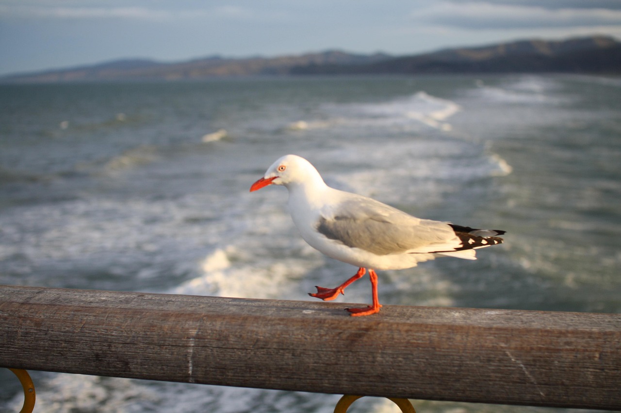 Which One Of The Following Statements Best Describes Erosion?