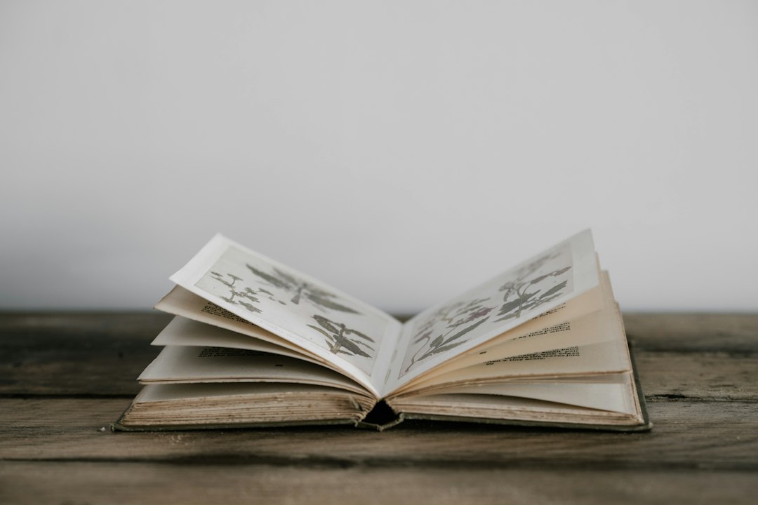 Ali Kain and the Enduring Principles of Lifelong Learning