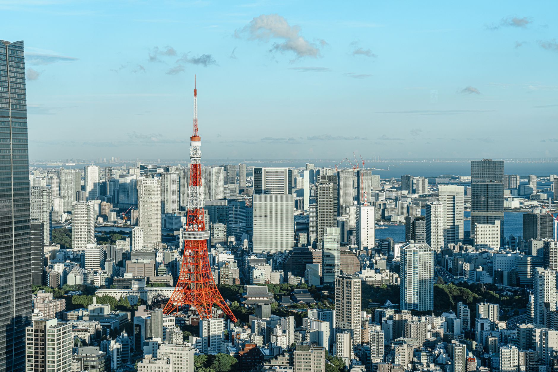 Nippon Life India Asset Management Posts Strong Results
