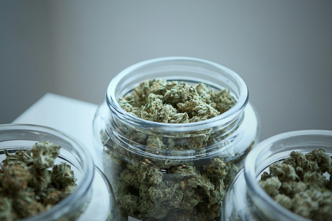Understanding Extract Types for a More Informed Online Cannabis Shopping Experience